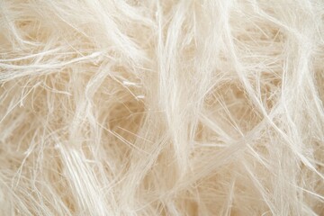 Obraz premium Natural fiber close-up showcasing intricate textures and soft white strands for textile exploration