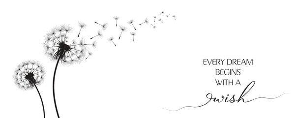 Vector illustration dandelion time. Black Dandelion seeds blowing in the wind. The wind inflates a dandelion isolated on a white background.