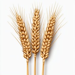Close-up view of golden wheat stalks with rich textures and details under bright sunlight on a farm field