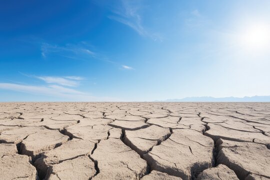 close-up of cracked and parched earth surface under bright clear sky