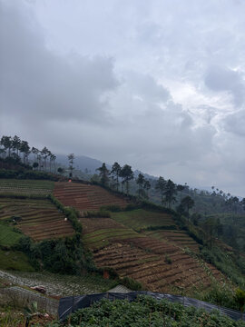 mountain scenery shrouded in mist
