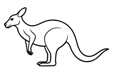 Elegant Kangaroo Outline
