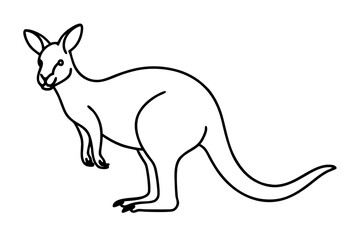 Elegant Kangaroo Outline