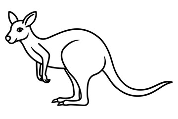 Elegant Kangaroo Outline