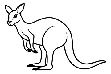 Elegant Kangaroo Outline