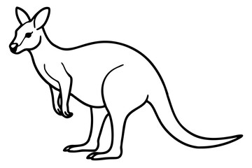 Elegant Kangaroo Outline