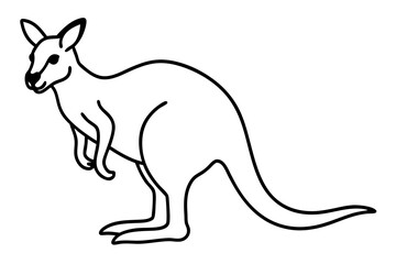 Elegant Kangaroo Outline