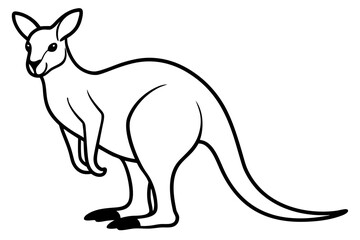Elegant Kangaroo Outline