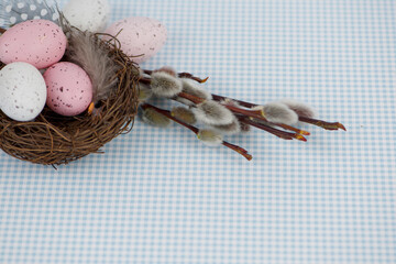 Obraz premium Pastel colored eggs in nest with willow on table with blue tablecloth