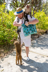 A monkey sits on a man's shoulder and waits for food. Another monkey stands in front of the man and touches the camera. Monkey Island in Vietnam, Nha Trang. Close-up, selective focus.