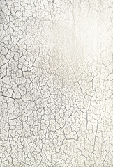 Natural authentic crackles in a surface background