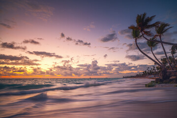Palm tree silhouette on tropical caribean beach Punta Cana, Dominican Republic sea sunrise