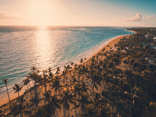 Aerial View of Tropical Caribbean Beach with Palm Trees and Blue Ocean Waters, Dominican Republic