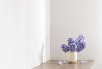 blue spring flowers in ceramic cup om white background
