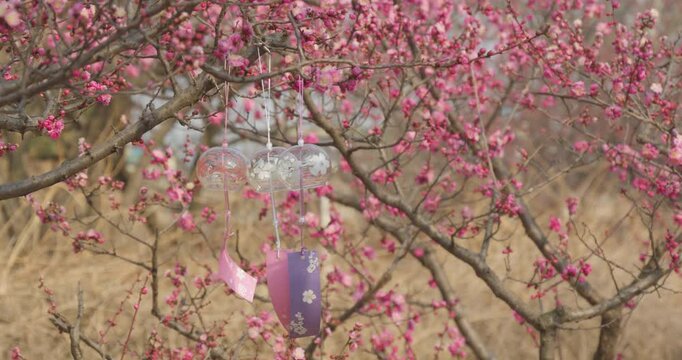 In the park, various flowers are in full bloom in the spring, and bees are flitting about.