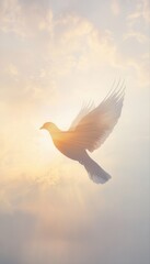 Double exposure funeral flyer featuring a large dove silhouette blended with a serene sky, warm sunlight, and soft clouds, creating a peaceful and reflective memorial design.