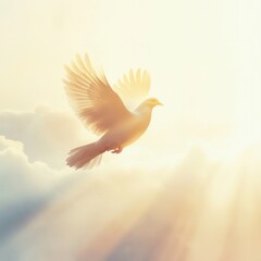 Fototapeta premium Double exposure funeral flyer featuring a large dove silhouette blended with a serene sky, warm sunlight, and soft clouds, creating a peaceful and reflective memorial design.