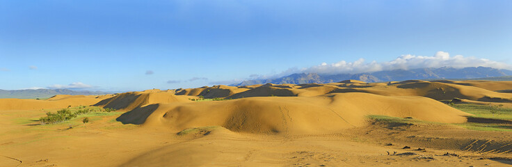 Elsen Tasarkhai, Rashaant, Bulgan Province - Elsen Tasarkhai sand dunes, also known as Bayan Gobi sand dunes or mini Gobi is a magnificent place features a small Gobi Desert in the center of Mongolia