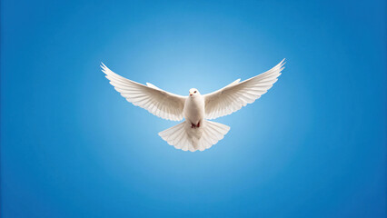 Obraz premium single dove flying against blue sky, symbolizing peace and freedom
