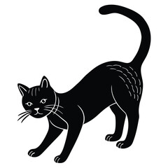 black cat vector illustration