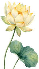 Lotus Blossom in Watercolour: A beautiful watercolour painting of a pristine lotus flower, radiating purity and tranquility.