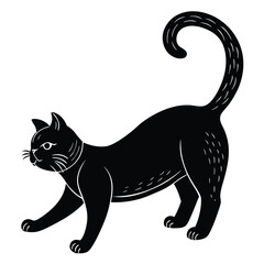 black cat on white
