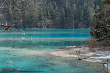 Sleeping Dragon Lake in Jiuzhaigou locate in Sichuan Province, China, is a UNESCO world natural and...