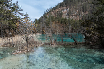 Sleeping Dragon Lake in Jiuzhaigou locate in Sichuan Province, China, is a UNESCO world natural and...
