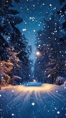 Obraz premium Enchanted Winter Night: A Snowy Path Illuminated
