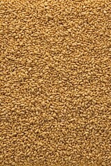 a close up of a pile of wheat on a table