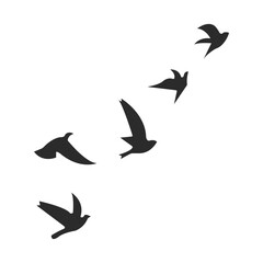 Flying Birds Silhouette