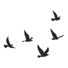 Flying Birds Silhouette