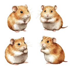 Hamster Watercolor Cutout Isolated Set