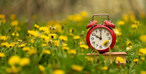 Alarm clock with spring flowers. Springtime or daylight savings time banner, background.