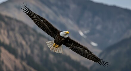 A majestic bald eagle soaring high above a dramatic mountain range, its wings spread wide, sharp beak and piercing eyes