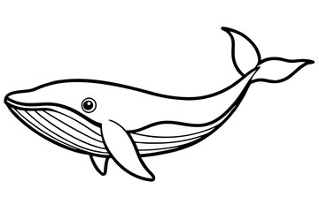 Elegant Whale Line Art