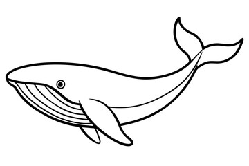Elegant Whale Line Art