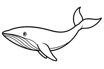 Elegant Whale Line Art