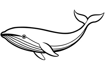 Elegant Whale Line Art