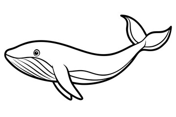 Elegant Whale Line Art