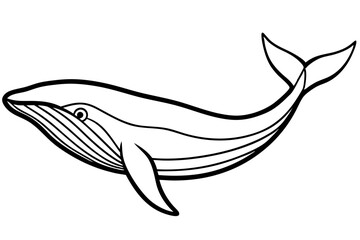 Elegant Whale Line Art