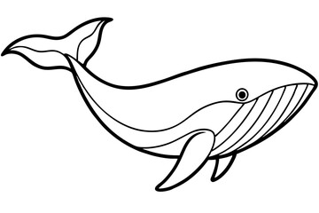 Elegant Whale Line Art