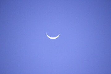 三日月　Crescent