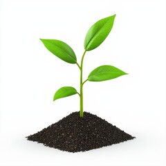 Small green plant emerging from rich dark soil symbolizing growth, life, and nature in a flourishing environment