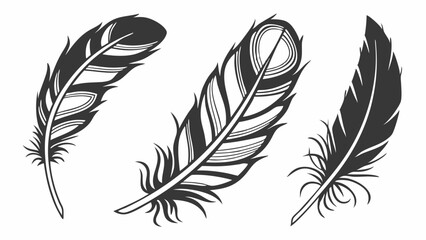 Obraz premium Artistic Feather Vector, Black and White Feather Design, Intricate Line Art Illustration, Stylized Decorative Feather, Hand-Drawn Feather Artwork