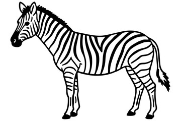 Elegant Zebra Line Art