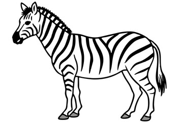 Elegant Zebra Line Art