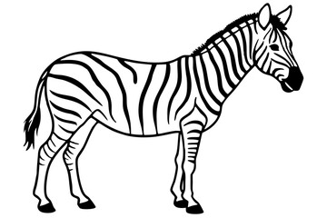 Elegant Zebra Line Art