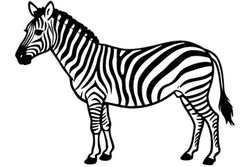 Elegant Zebra Line Art