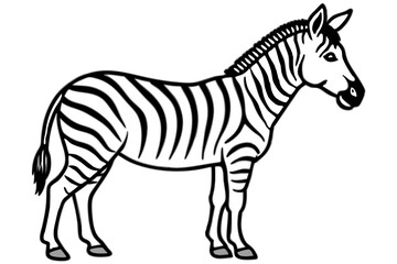Elegant Zebra Line Art